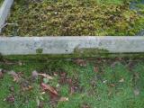 image of grave number 723836